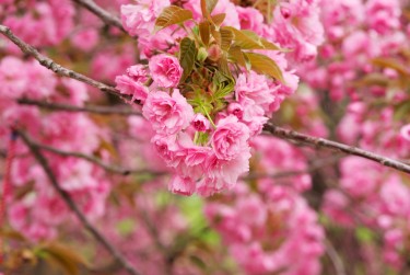 上海金山区线下个人借款平台一站式服务，轻松解决资金难题