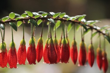 上海金山区零用贷短借：轻松解决临时资金需求