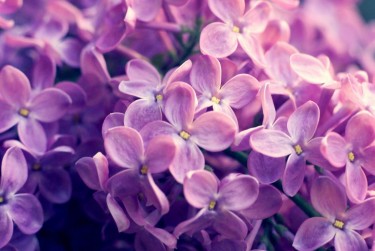 上海金山区企业急用钱贷款攻略：快速融资解燃眉之急